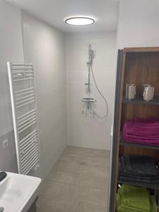 Koupelna v ubytování Premium Home 23
