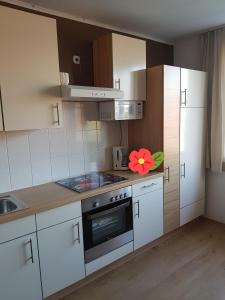 eine Küche mit weißen Schränken und einer Blume auf der Theke in der Unterkunft Apartment Graz Murpromenade in Graz