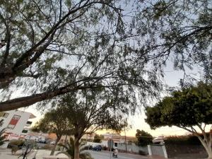 Fotografie z fotogalerie ubytování Tenerife Homestay v destinaci San Miguel de Abona