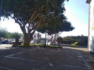 Fotografie z fotogalerie ubytování Tenerife Homestay v destinaci San Miguel de Abona
