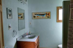 y baño con lavabo y espejo. en Little Whit on Chautauqua Lake en Mayville