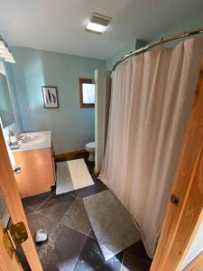 a bathroom with a shower curtain and a sink at Little Whit on Chautauqua Lake in Mayville