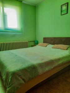 a bedroom with a large bed in a green room at S&Z Hostel in Banja Luka