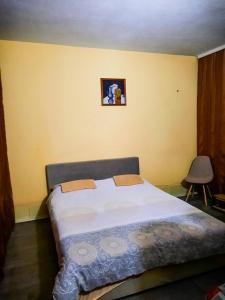 バニャ・ルカにあるS&Z Hostelの壁に絵が描かれたベッドルームのベッド1台