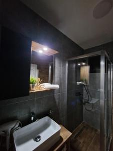 Un baño con lavabo, ducha y espejo. en Garnet Star Apartments 1, en Kopaonik 23 fotos más