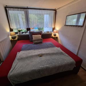 ein kleines Schlafzimmer mit 2 Betten und einem Fenster in der Unterkunft Gästewohnung Detmerode in Wolfsburg