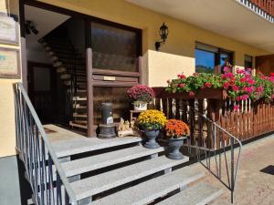 a porch with vases of flowers on the stairs at Gasthaus Paula in Üdersdorf