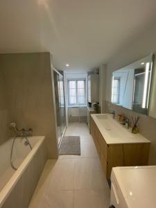 Kúpeľňa v ubytovaní Le Krut' Appartement spacieux et lumineux de 108m2