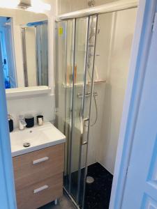 a bathroom with a shower and a sink at Cosy nest from 10 minutes PARIS centre in Saint-Ouen