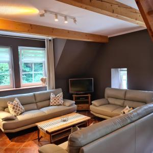 - un salon avec deux canapés et une télévision dans l'établissement Appartements im "Landhaus am Frohnauer Hammer", à Annaberg-Buchholz