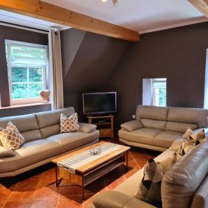 ein Wohnzimmer mit 2 Sofas und einem TV in der Unterkunft Appartements im "Landhaus am Frohnauer Hammer" in Annaberg-Buchholz