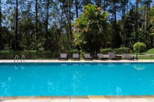 a swimming pool with chairs and a palm tree at Sítio com piscina, área arborizada e lazer in Jacareí