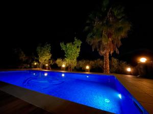 a blue swimming pool at night with a palm tree at Villa Domenico in Vryses