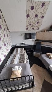 Diósd的住宿－Sárkány Lak，墙上花紫色的房间里设有两张床