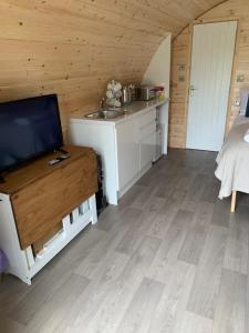 Η κουζίνα ή μικρή κουζίνα στο The Burrow - Sleeps 4