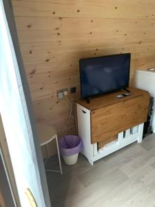 a living room with a television on a wooden wall at The Burrow - Sleeps 4 in Burnfoot
