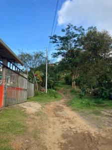 a dirt road next to a house with trees at Pez Espada Tours y Cabinas in Drake