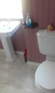 ein Badezimmer mit einem weißen Waschbecken und einem WC in der Unterkunft Braeside cottage in Tarskavaig