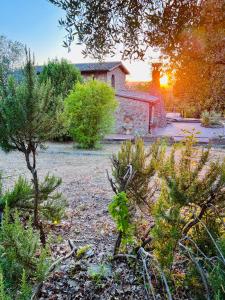 a garden with trees in front of a building at Giove Umbria historic stone farmhouse with pool and detached apartments for a total of 12 guests in Giove