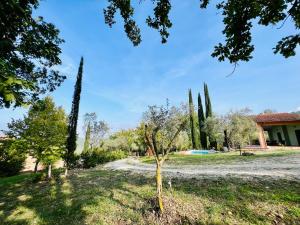 a garden with cypress trees and a house at Giove Umbria historic stone farmhouse with pool and detached apartments for a total of 12 guests in Giove