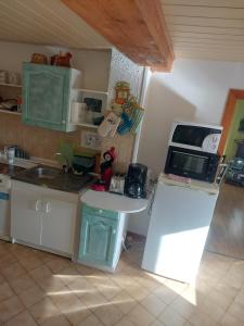 una cucina con lavandino e bancone con forno a microonde di Chez Nadine a Ranspach