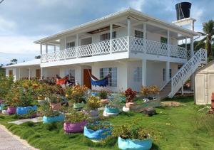 uma casa com muitas plantas à frente dela em Posada Sunshine Paradise em Santa Catalina Island