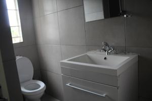 a bathroom with a sink and a toilet at Sable Holiday Home in Hazyview