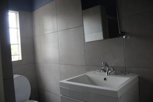 a bathroom with a sink and a toilet at Sable Holiday Home in Hazyview