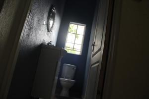 a bathroom with a toilet and a window at Sable Holiday Home in Hazyview
