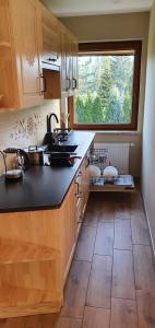 Kuchyňa alebo kuchynka v ubytovaní Apartament Orkisz