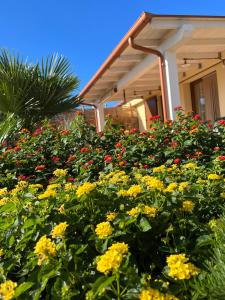 a field of flowers in front of a house at Villa Impetrata IUN Q7090 in Orosei
