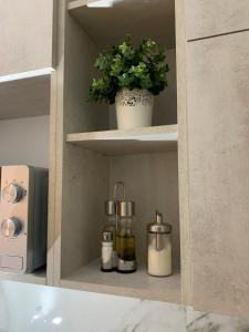 a shelf with bottles and a potted plant on it at DM apartman Beograd in Vračar (historical)