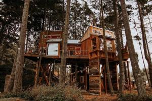 安吉利斯港Treehouse on the Water -Eagles Nest-20 ft high的树中间的树屋 更多37张照片