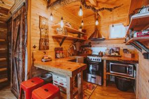 安吉利斯港Treehouse on the Water -Eagles Nest-20 ft high的小屋内的厨房配有炉灶和台面