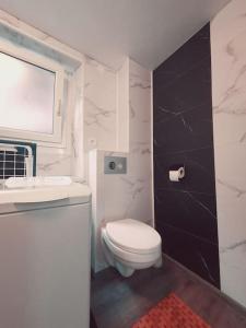Łazienka z białą toaletą i umywalką w obiekcie - 1 - Appartement charmant moderne 5 pers T3 73m2 w mieście Sélestat +37 zdjęć