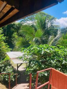 a view of a palm tree from a balcony at Ohana Location Ravissant appart spacieux parking gratuit à uturoa in Uturoa