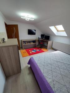 um quarto com uma cama, uma secretária e uma televisão em Cozy and modern house em Udeni-Zăvoi