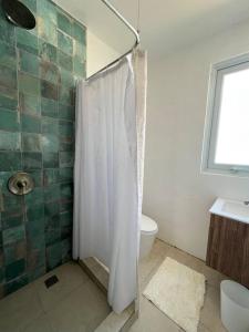 a bathroom with a shower with a toilet and a sink at Casita Del Mar Oceanfront Romantic Retreat In Islote in Arecibo +3 photos