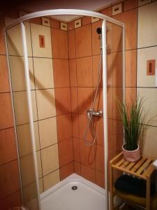 a shower in a bathroom with a plant at Apartament u Waldemara in Łomnica