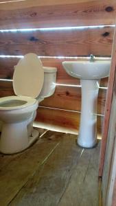 Vonios kambarys apgyvendinimo įstaigoje Cabañas Waili
