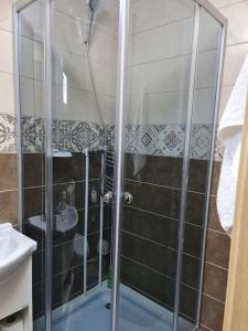 a shower with a glass door in a bathroom at Pensiunea Casa Alex in Şarul Dornei