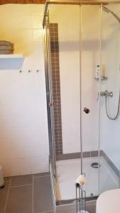 eine Dusche mit Glastür im Bad in der Unterkunft Apartment Silva in Kappel-Grafenhausen