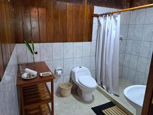 a bathroom with a toilet and a sink at Sotupa Eco Lodge in Puerto Maldonado