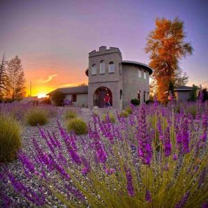 a field of purple flowers in front of a building at Lavender Castle in Sequim