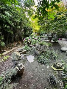 un jardin avec des rochers, des plantes et des arbres dans l'établissement Útulný byt v historickom centre Bratislavy, à Bratislava