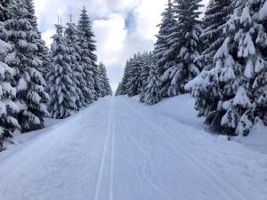 Mountain chalet v zime