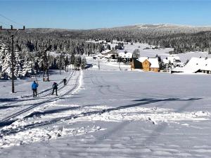 Mountain chalet v zime