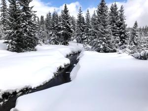 Mountain chalet v zime
