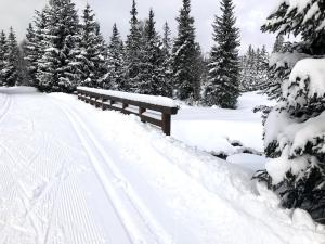 Mountain chalet v zime