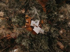 Treehouse-Small Eagles Perch over the water v zimě
